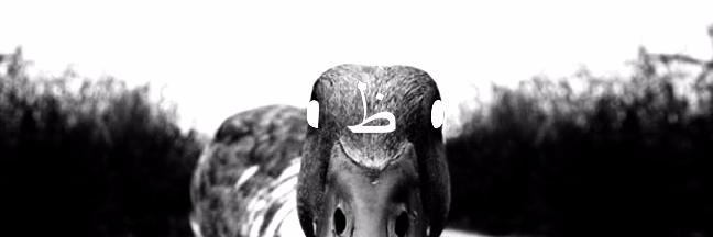 DuckWear's profile banner image