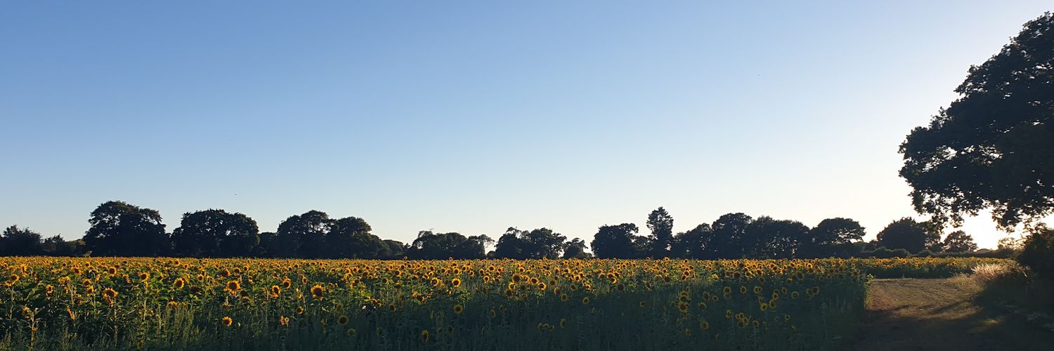 amster7097's profile banner image