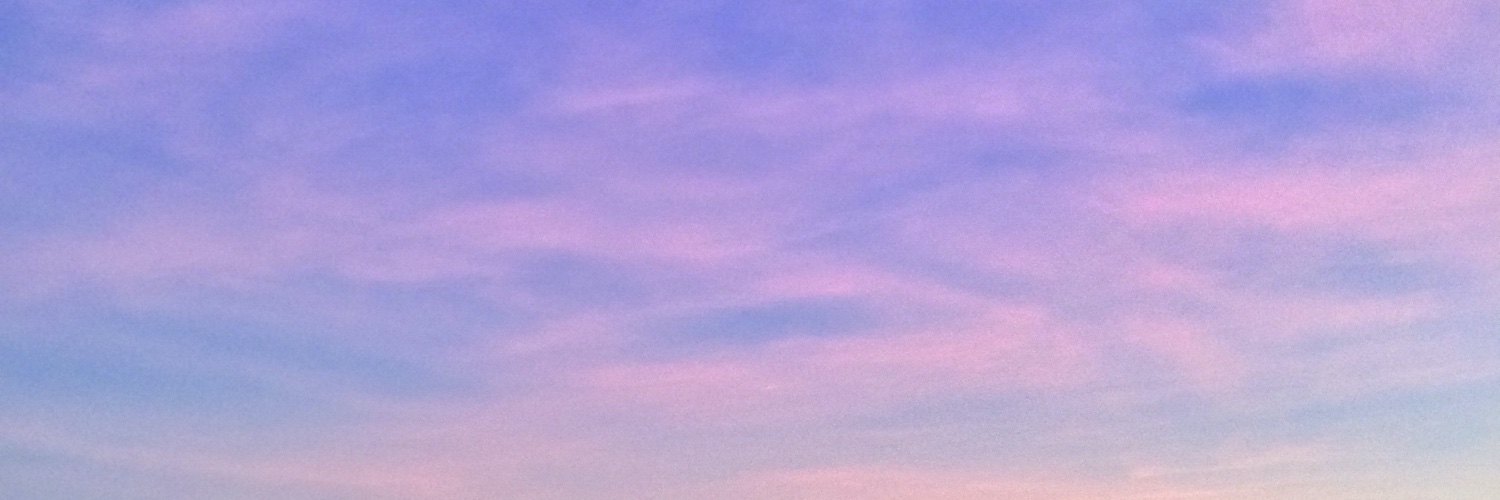 Gabipaulucci's profile banner image