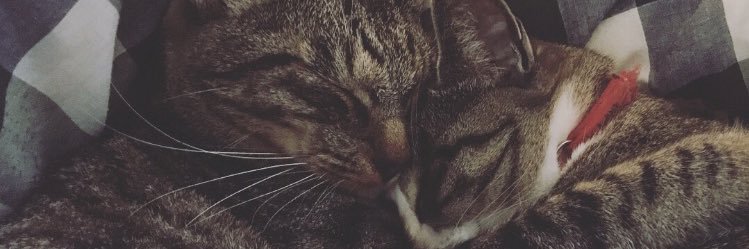 HTM_13_'s profile banner image