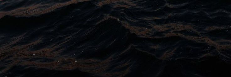 casdulu's profile banner image