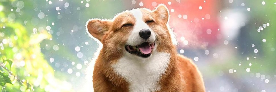 MetaYoutou's profile banner image