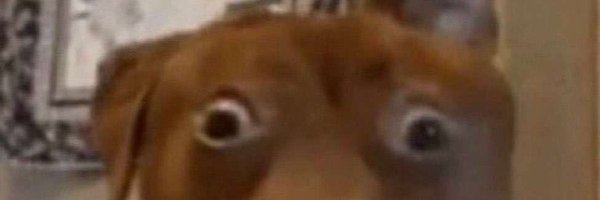 snufval Profile Banner