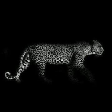 Jamrat_gatha's profile banner image