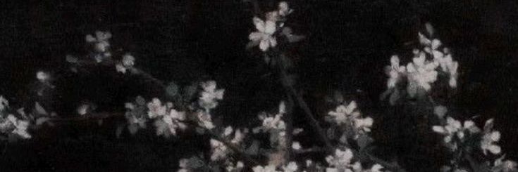 ___vanta's profile banner image