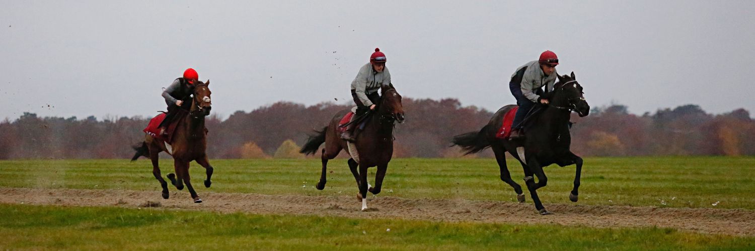 Matt crawley racing banner