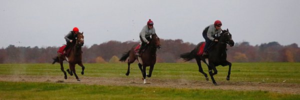 crawley1990 Profile Banner