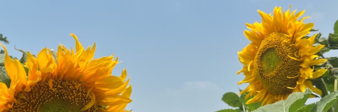 nhdifh_'s profile banner image