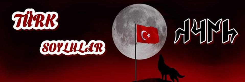 TSoylular's profile banner image