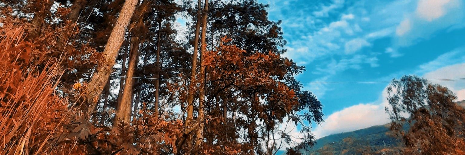 TwistedFreak182's profile banner image