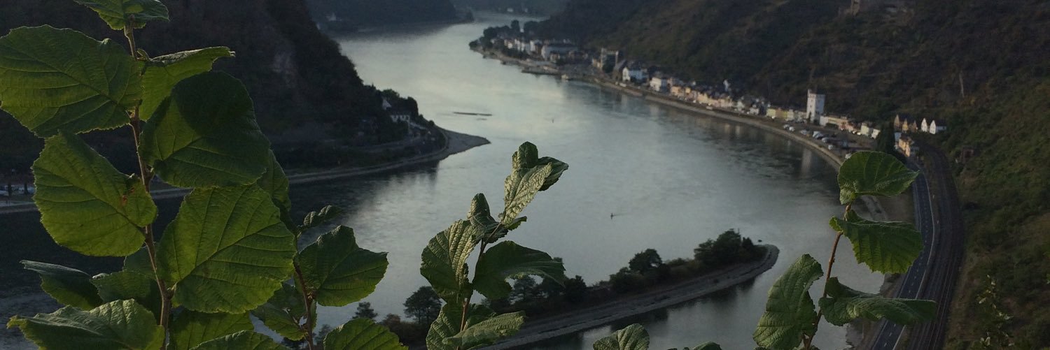dag_schweickert's profile banner image