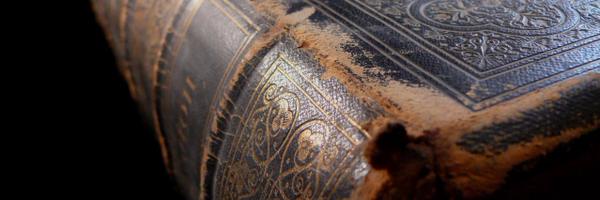 Tantallon_2001 Profile Banner