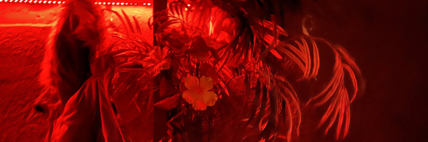 RupeshVetha's profile banner image