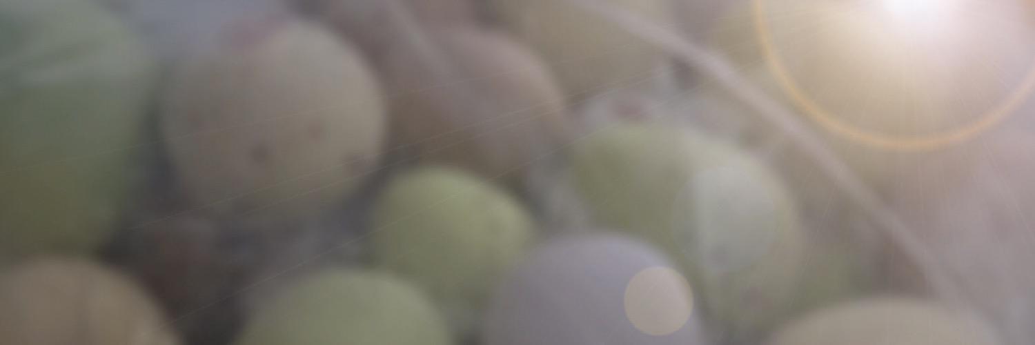 Esseltee_Bakes's profile banner image