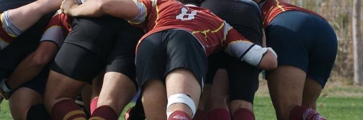 Pedro de Castro banner