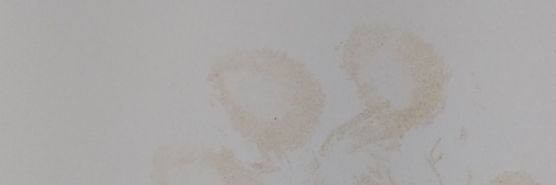 souadria's profile banner image