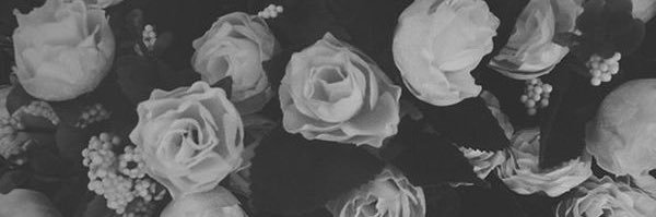 lowqgvnn's profile banner image