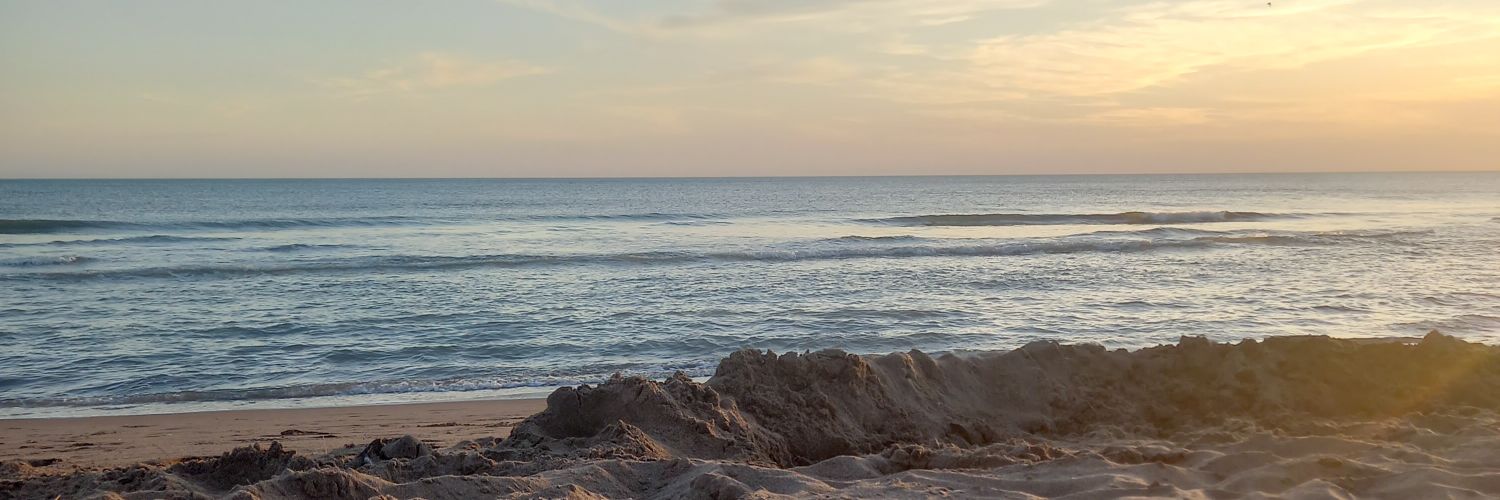Fersanchezokk's profile banner image