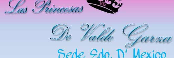 PDVGEdoMex's profile banner image