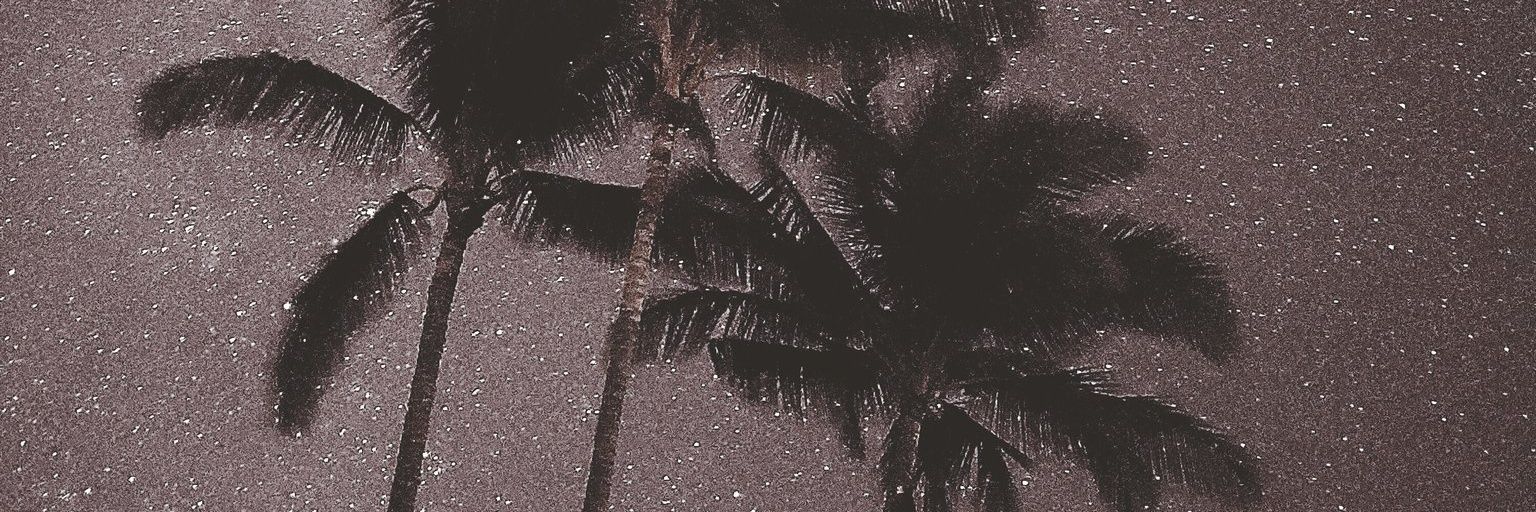 ketchupwitheggs's profile banner image