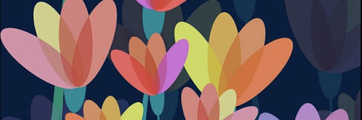 GraceLackey's profile banner image