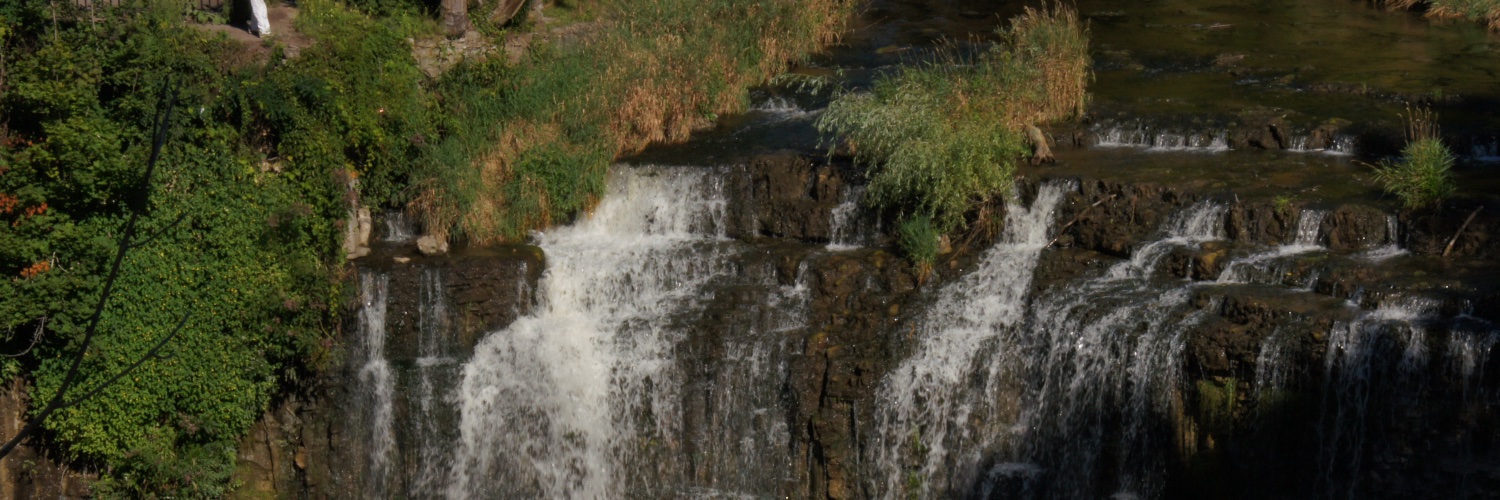 David Armstrong banner