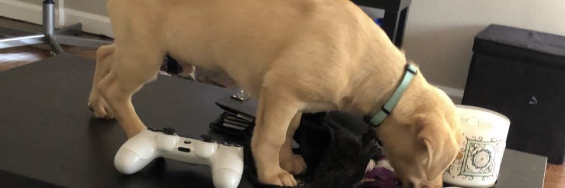 BenSteinman's profile banner image
