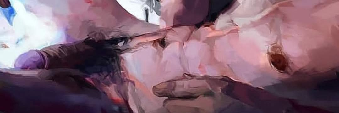 midnight_exhib's profile banner image