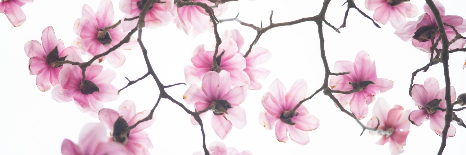 roopkhural's profile banner image