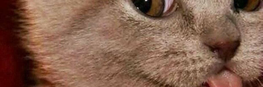 xFrezzox's profile banner image