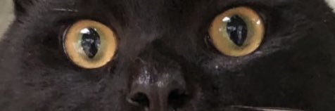 newanna18's profile banner image