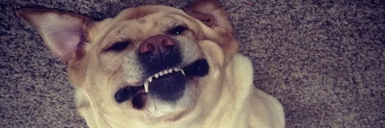 Ambernprise's profile banner image