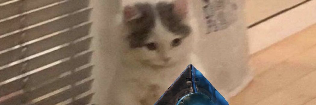 seaniibro's profile banner image