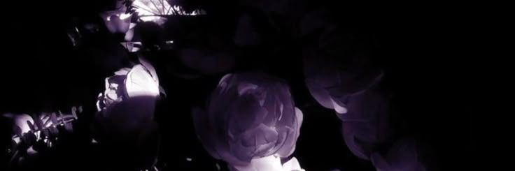 . banner