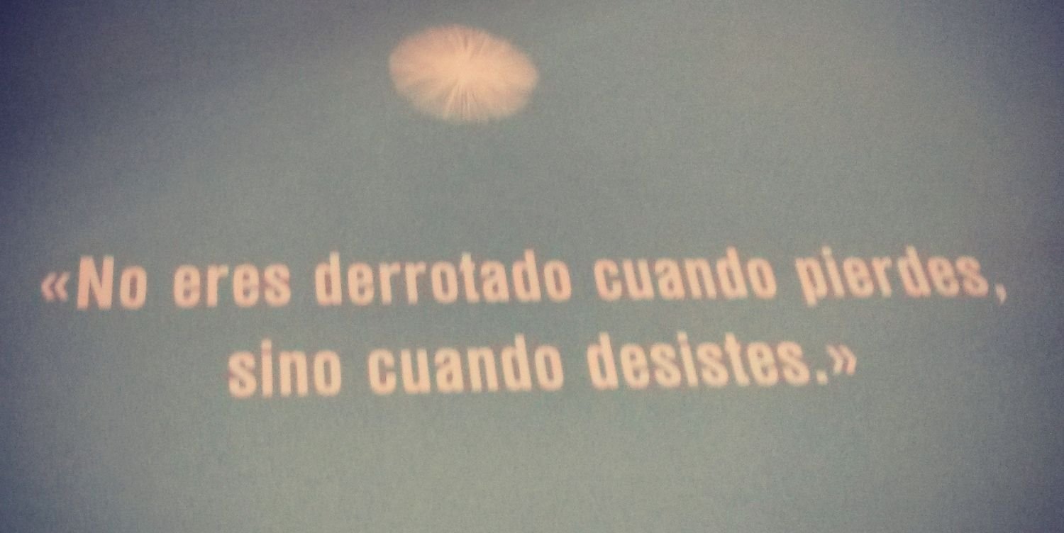 marina carmona banner