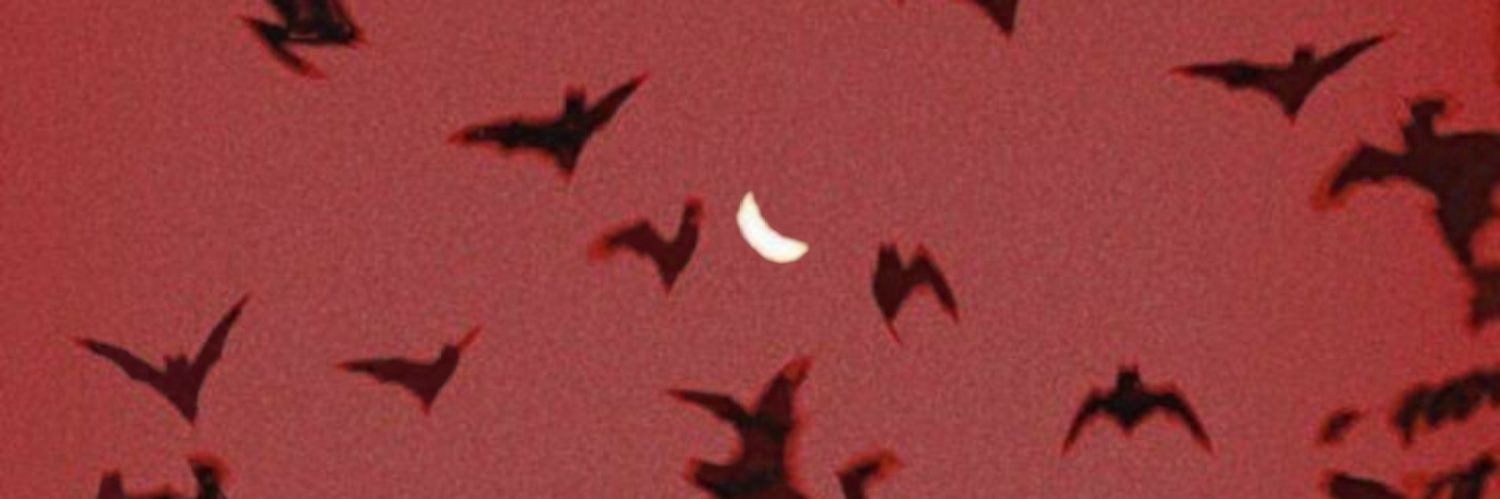 hiddenftkard's profile banner image