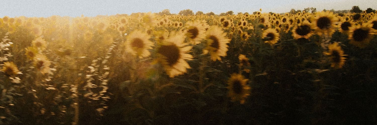 cocoanddidi's profile banner image