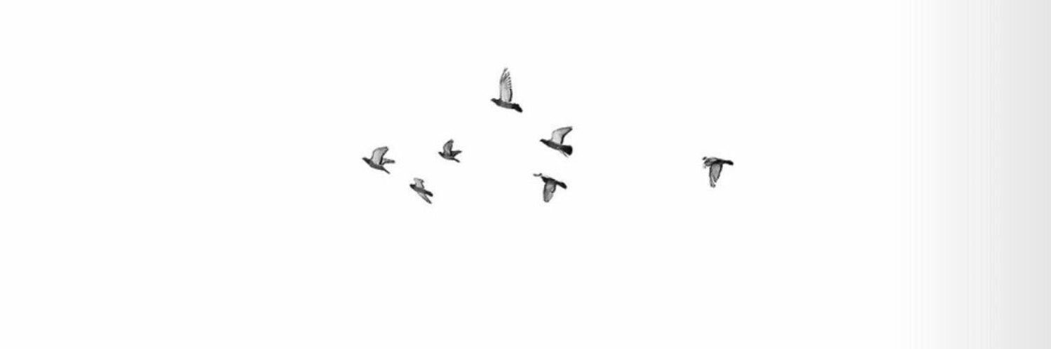 irapand's profile banner image