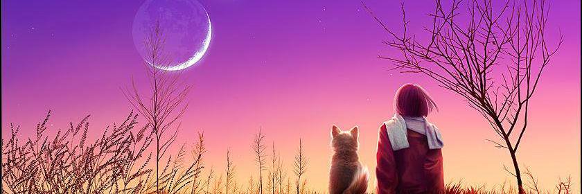 mrwiley9's profile banner image
