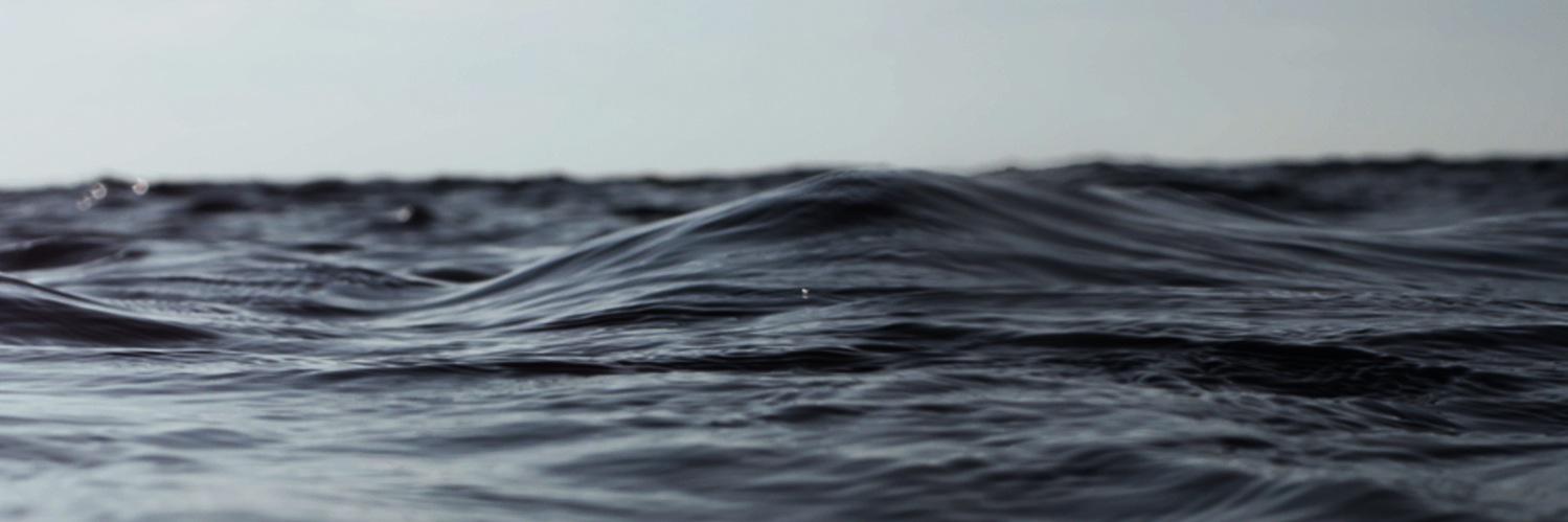 Sonic Sea banner