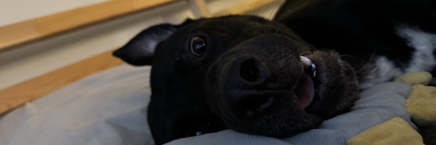 estherspark's profile banner image