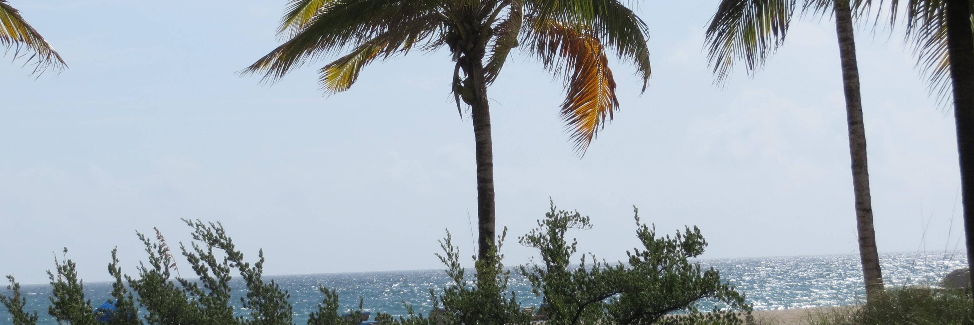 PompanoToday's profile banner image