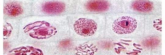HoganBio4Life's profile banner image