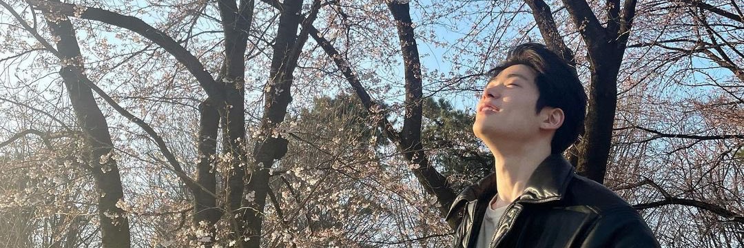 yunoovelized's profile banner image