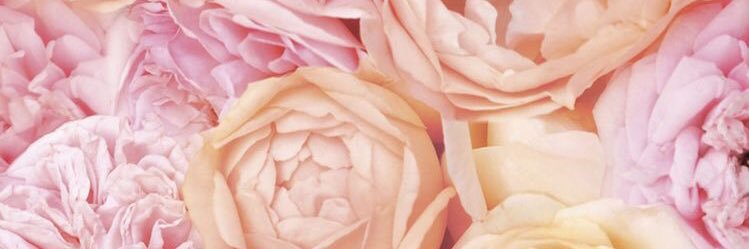 LuzzSA's profile banner image