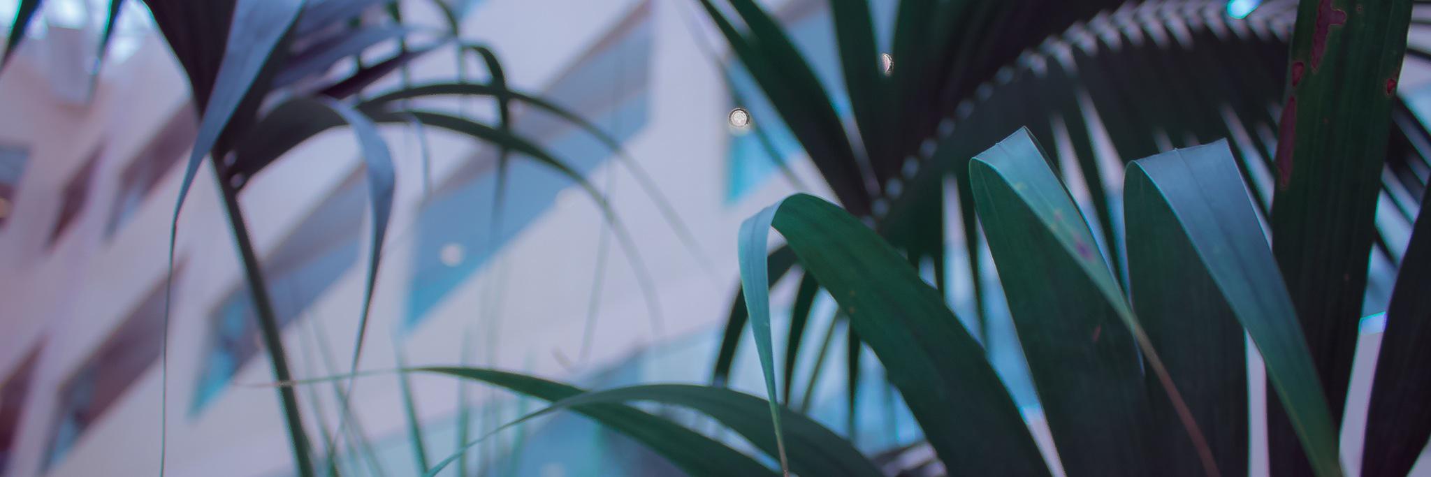 maisondeN_'s profile banner image