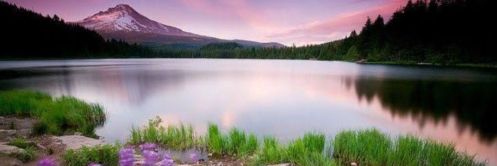 hasmatali497's profile banner image