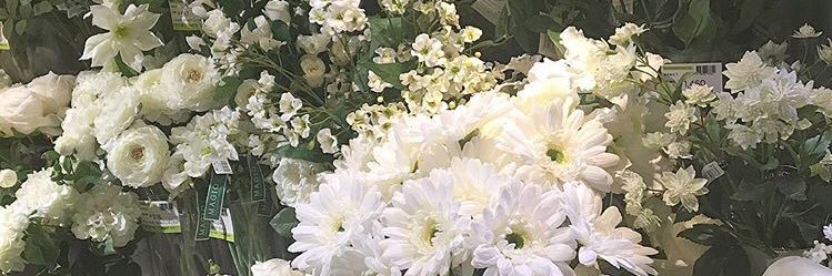 tm_5539's profile banner image