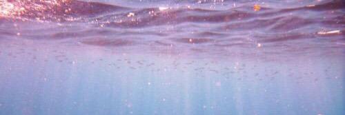 124_____day's profile banner image
