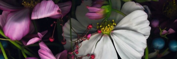sultan_ad_20's profile banner image
